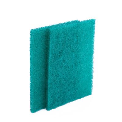 Green Cleaning Scouring Pad Sustainable Foam Kitchen Sponge Custmized