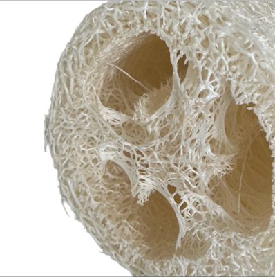 Natural Biodegradable Loofah Sponge for Eco-Friendly Body Exfoliation