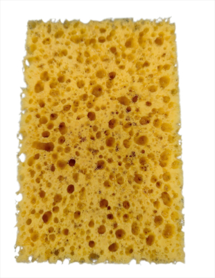 Eco-Friendly Honeycomb Algae Sponge & Buffing Block for Scratch-Free Car Washing
